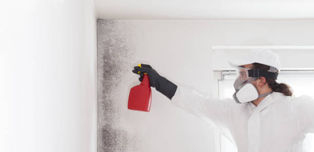 Best Crawl Space Mold Removal  in Great Falls Crossing, VA