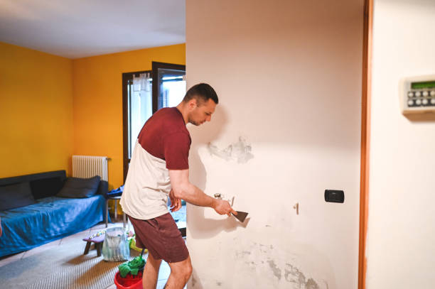 Best Home Mold Removal  in Great Falls Crossing, VA